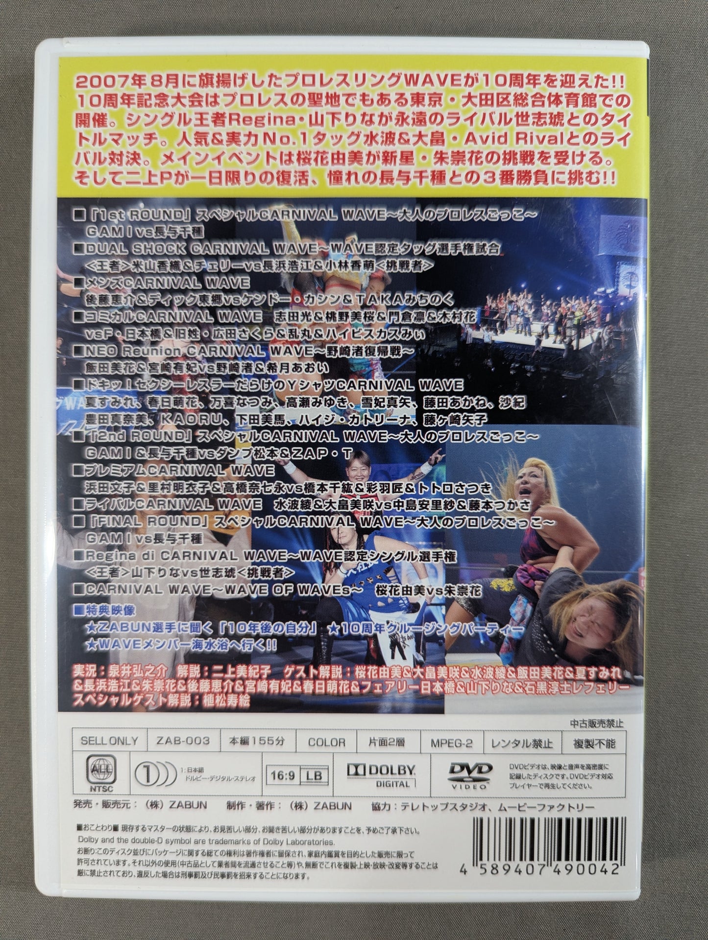 Pro-wrestling WAVE 10th anniversary CARNIVAL WAVE ~NEVER ENDING Ota Ward STORY~