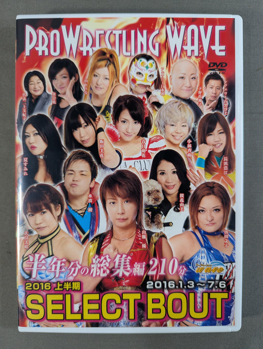 プロレスリングWAVE 2016上半期 SELECT BOUT