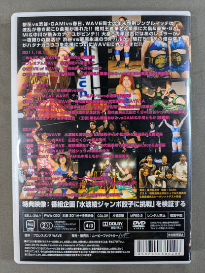 プロレスリングWAVE Maniacs 11