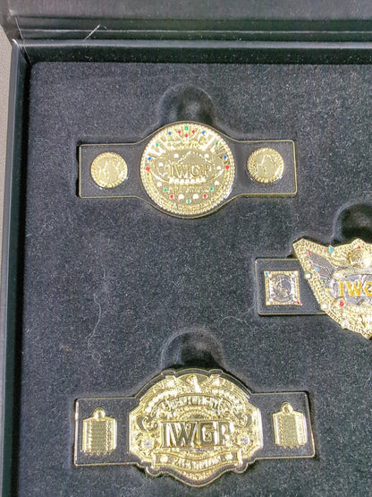 IWGP CHAMPION BELT ピンズコレクション(全5種)