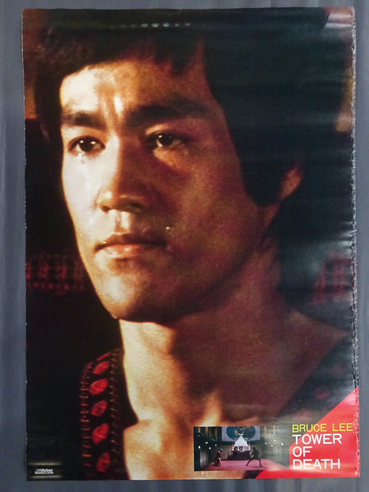 Bruce Lee Death Tower (3)