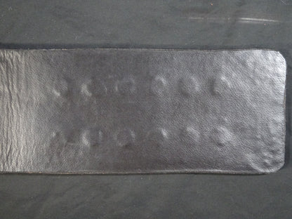 NWA World TV Title Belt