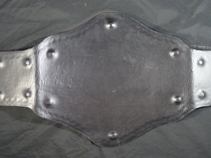 NWA World TV Title Belt