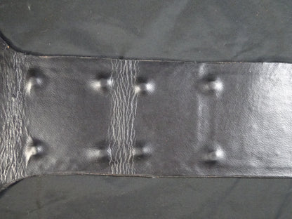 NWA World TV Title Belt