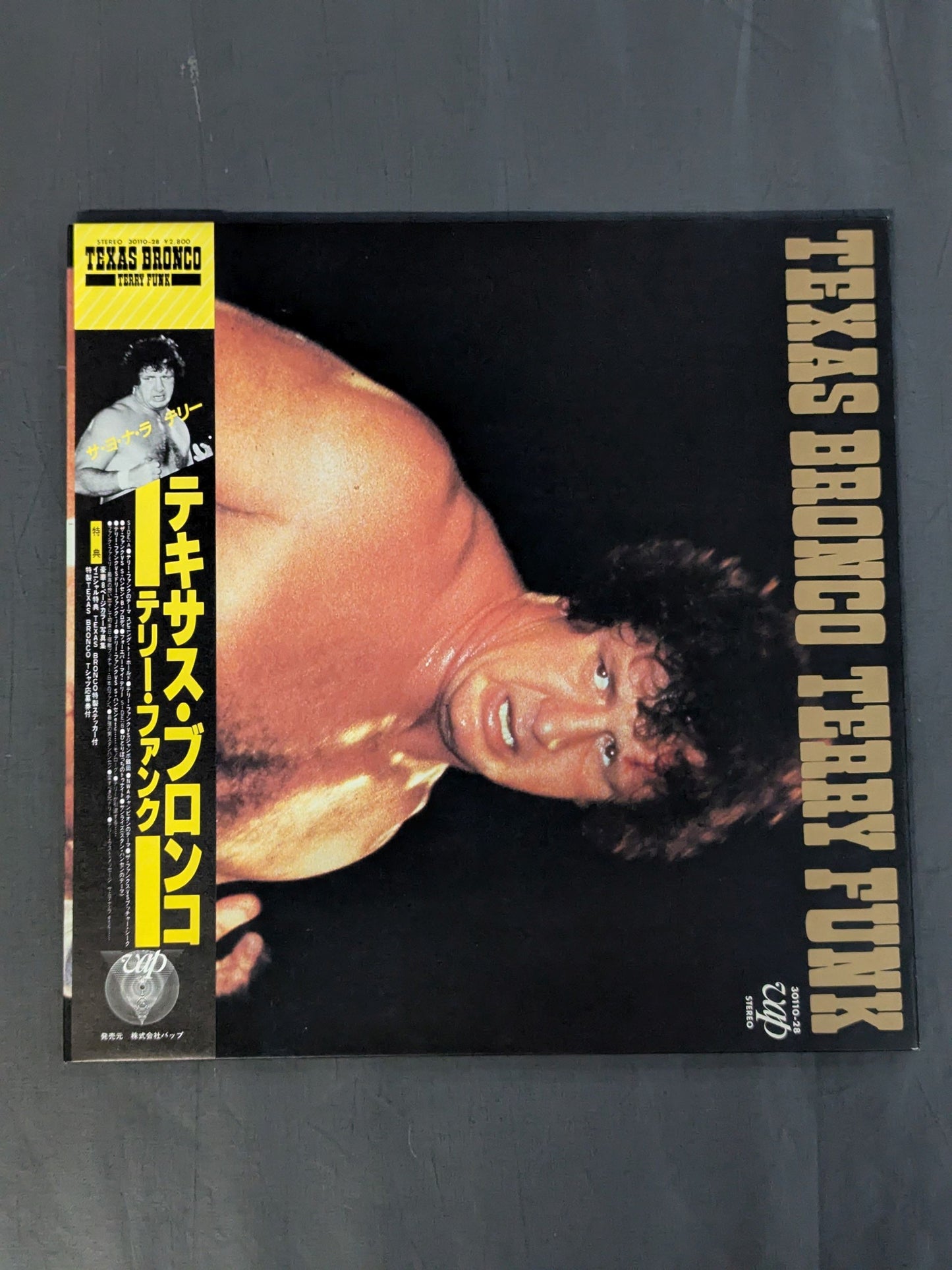 TEXAS BRONCO TERRY FUNK / テキサス・ブロンコ テリー・ファンク
