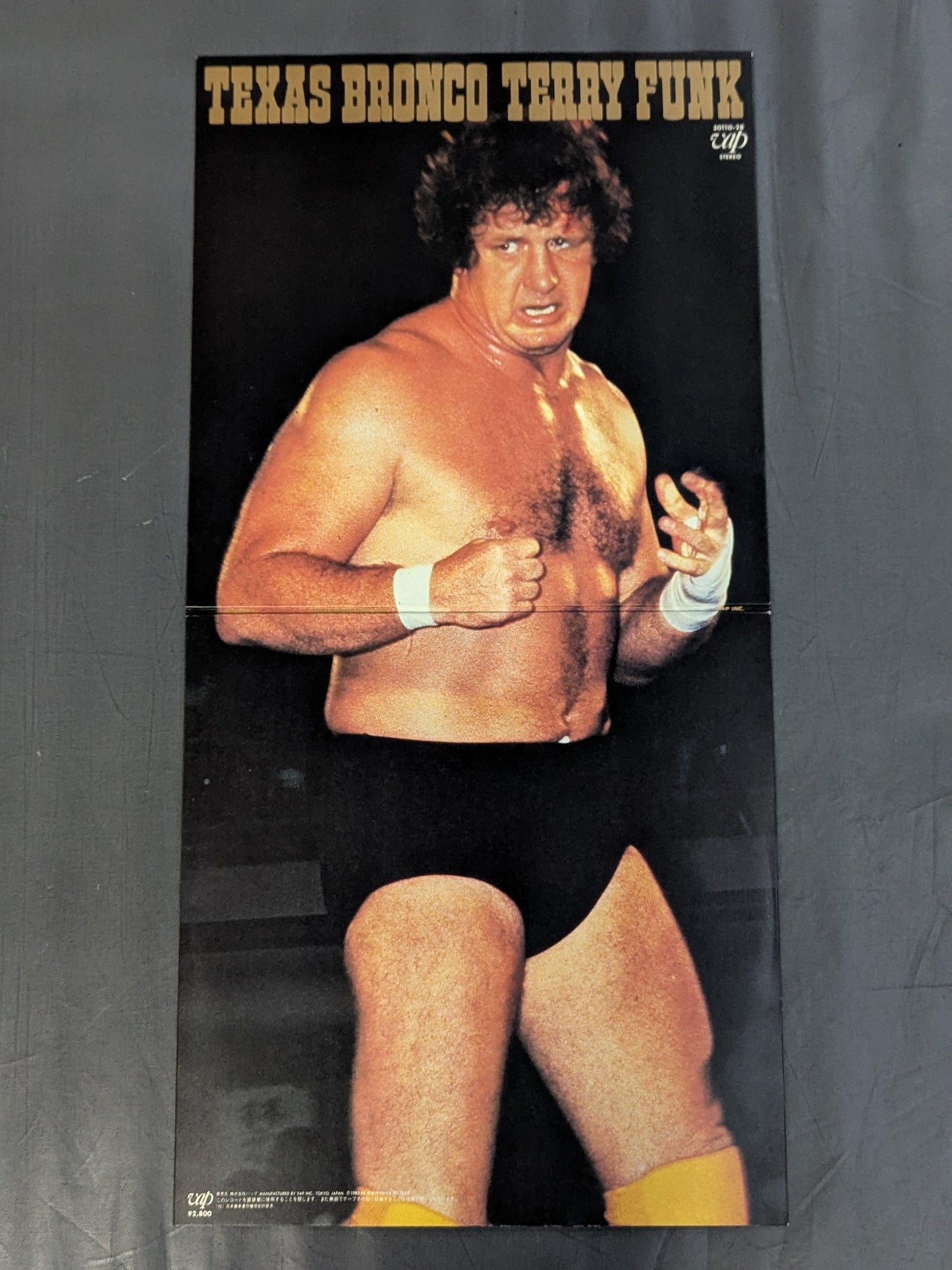 TEXAS BRONCO TERRY FUNK / テキサス・ブロンコ テリー・ファンク