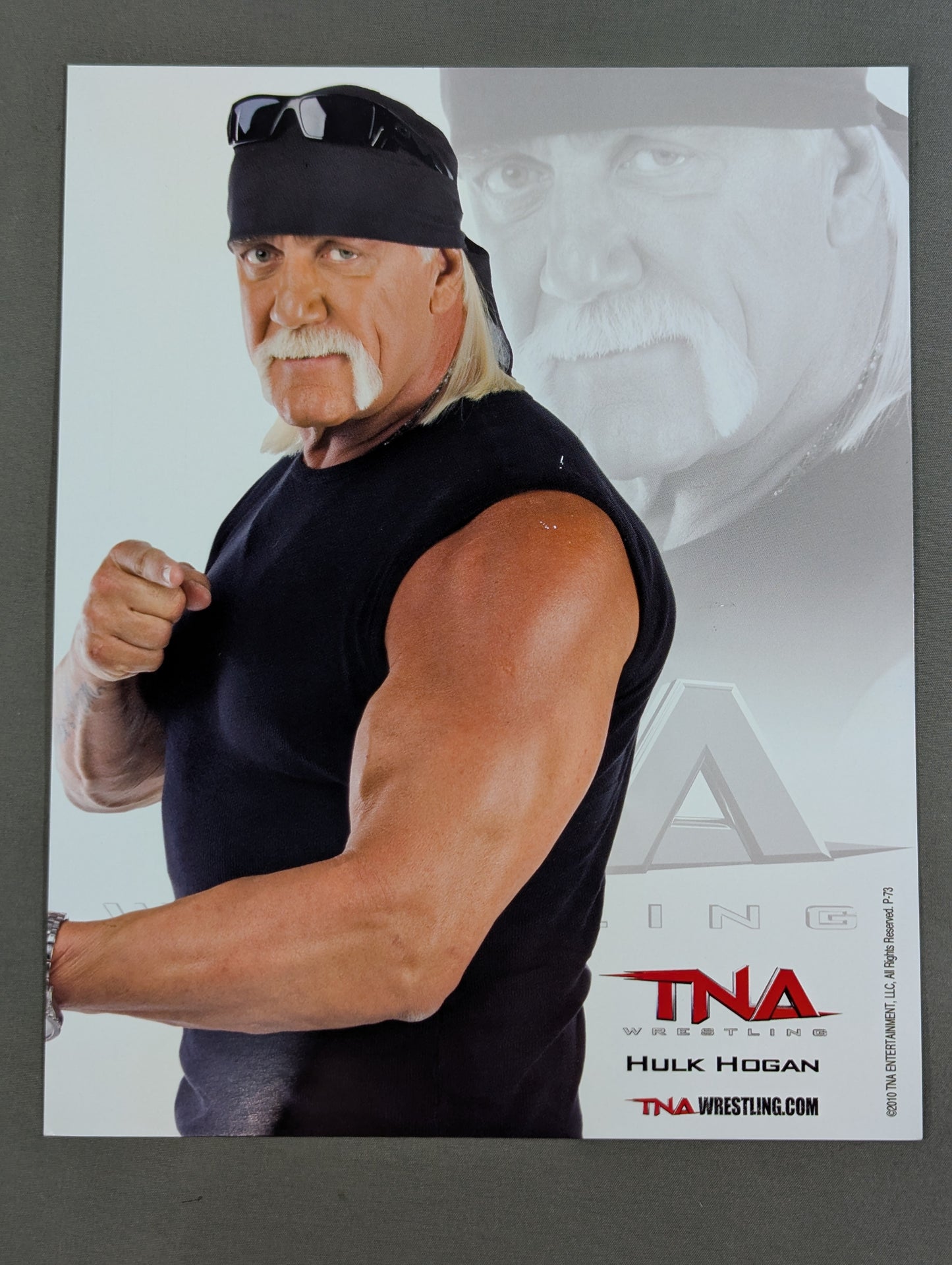 TNA ハルク・ホーガン ポートレート