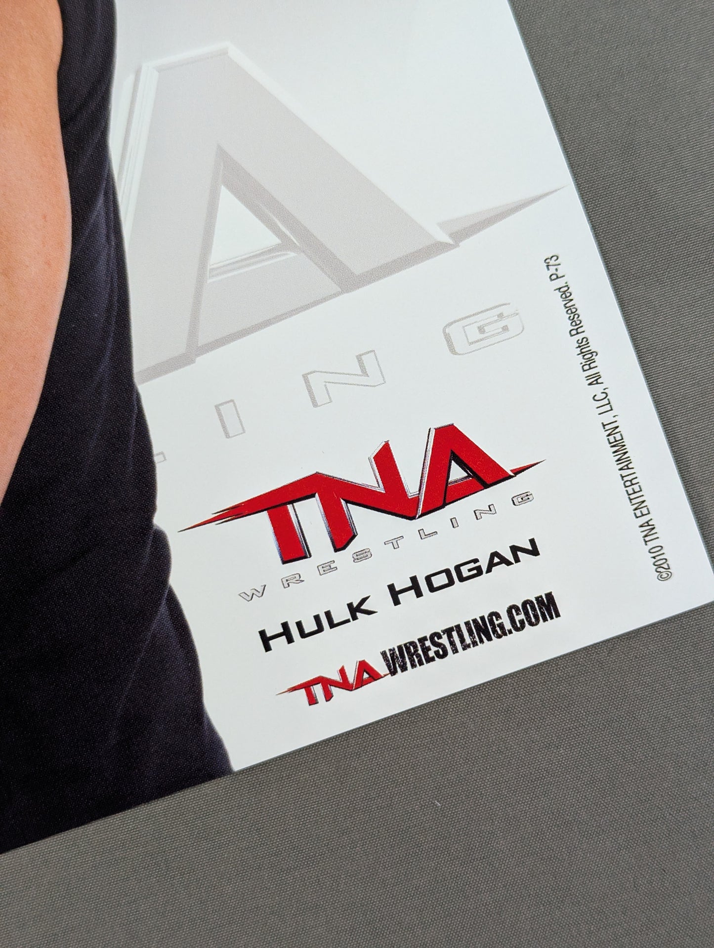 TNA ハルク・ホーガン ポートレート