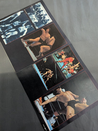 新日本プロレスの歴史 Vol.Ⅰ