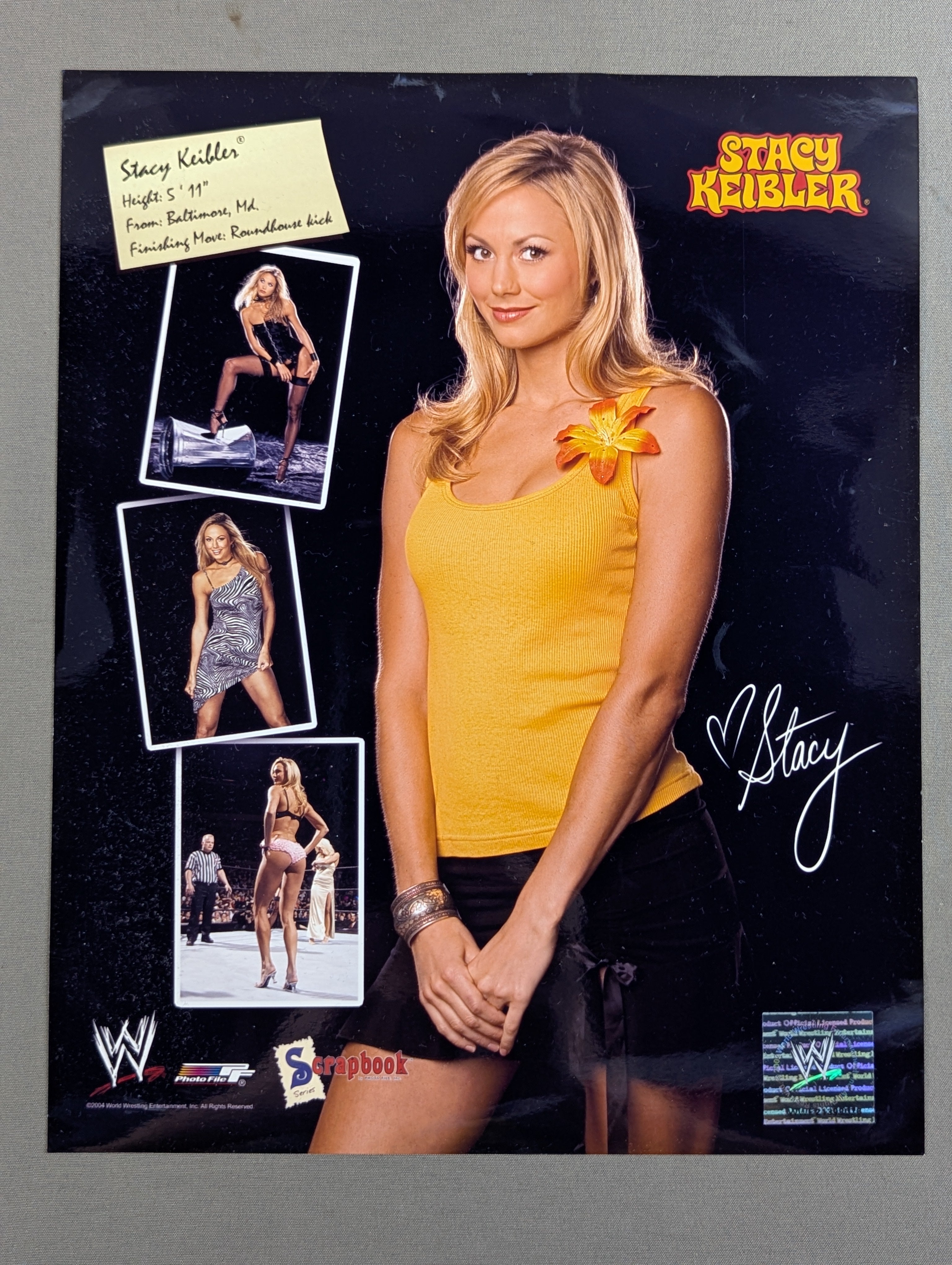 ステイシー・キーブラー直筆サイン入り超大型写真… WWE ステイシー・キーブラー ポートレート ① – 闘道館