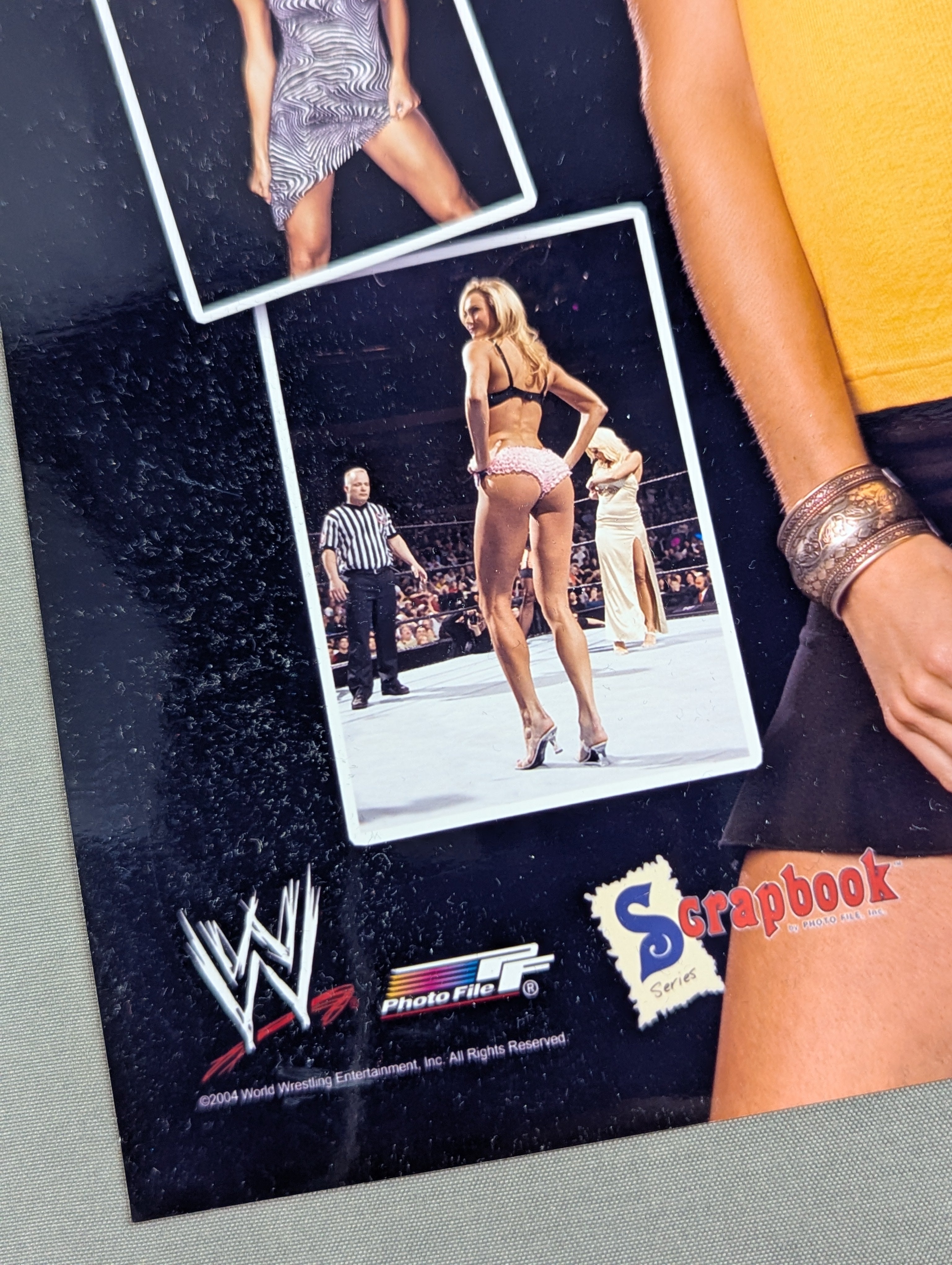 WWE ステイシー・キーブラー ポートレート ① – 闘道館