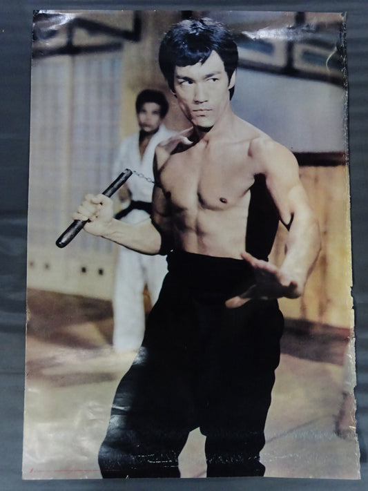 Bruce Lee Poster (4)
