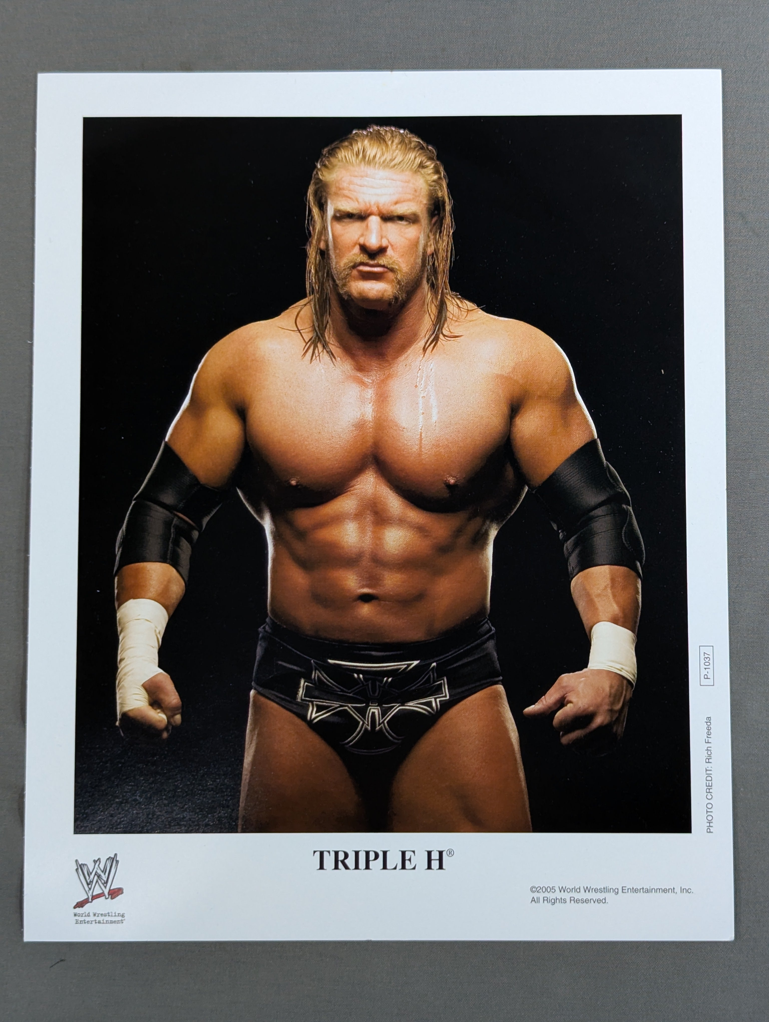 トリプルH WWE オフィシャル ポートレート (2005) – 闘道館