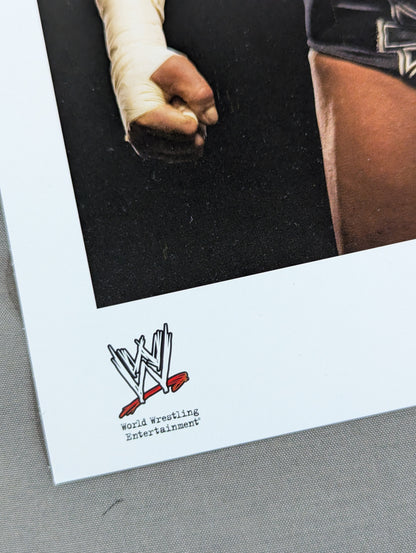 トリプルH WWE オフィシャル ポートレート (2005)