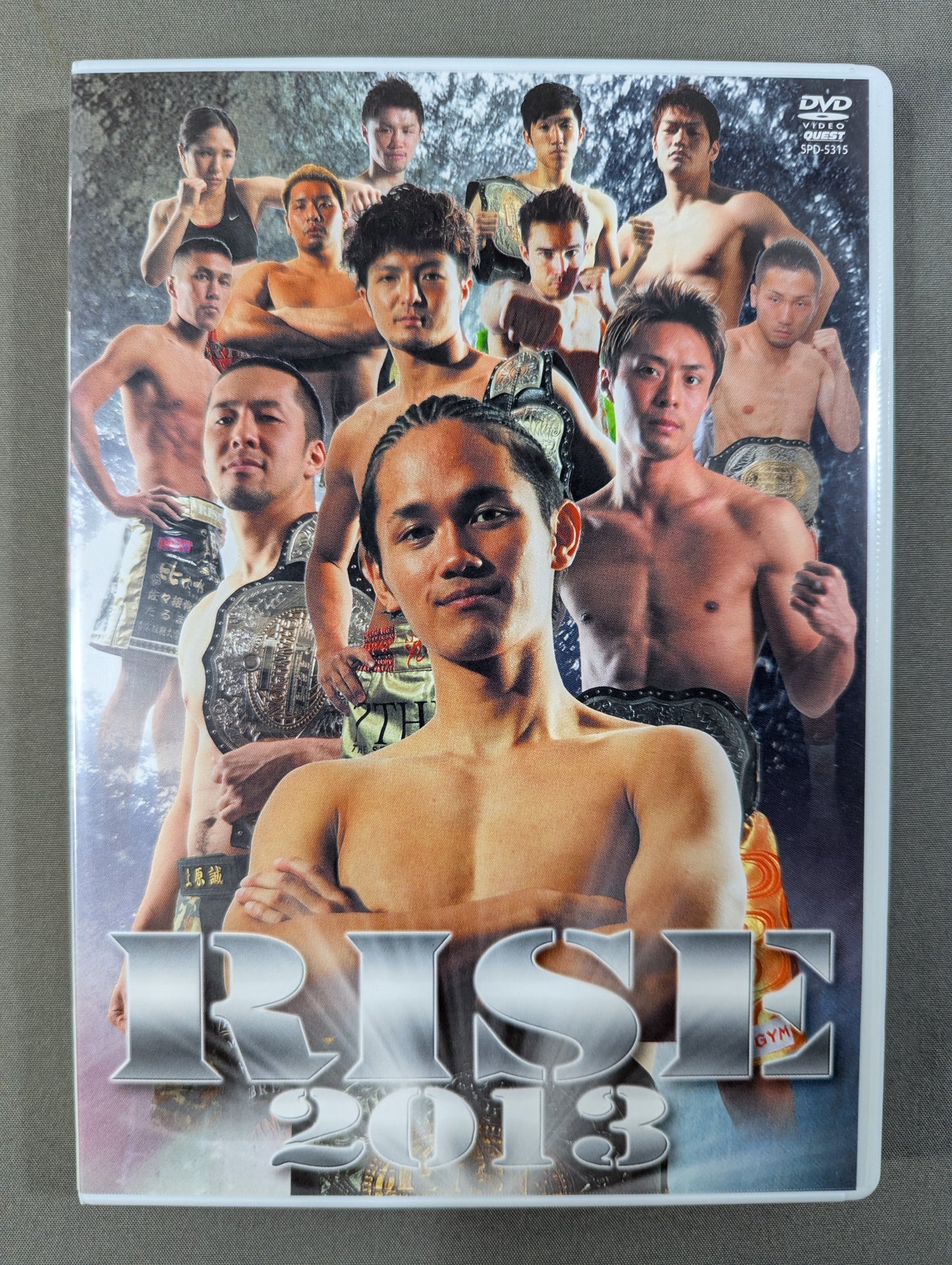 RISE 2013