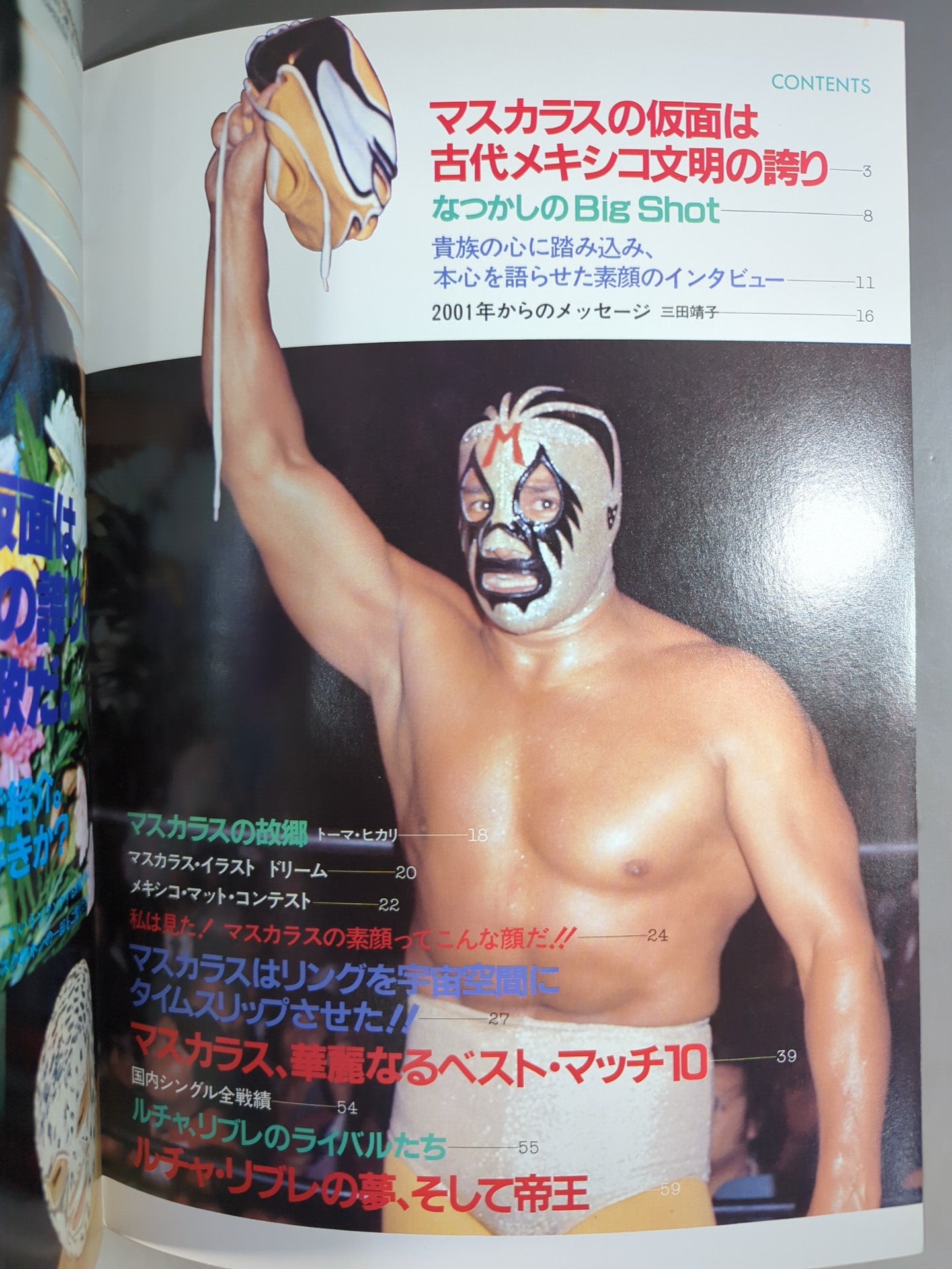 プロレスアルバム29 ミル・マスカラス ☆改訂版☆ – 闘道館