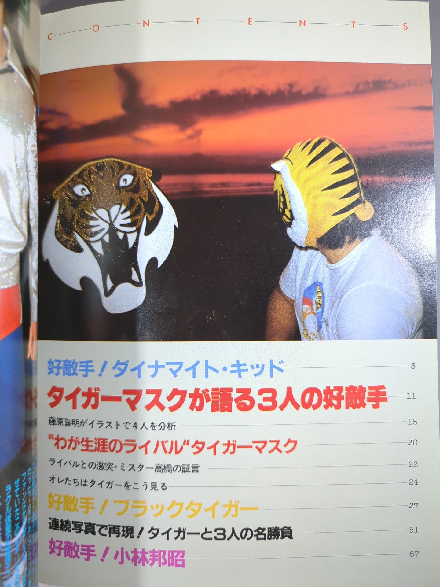 プロレスアルバム31 タイガーマスクと3人の好敵手 – 闘道館