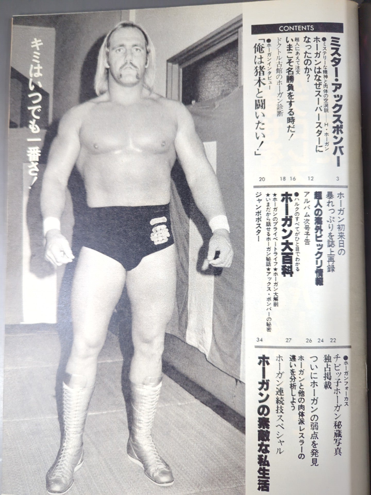 プロレスアルバム40 一番ハルク・ホーガン – 闘道館