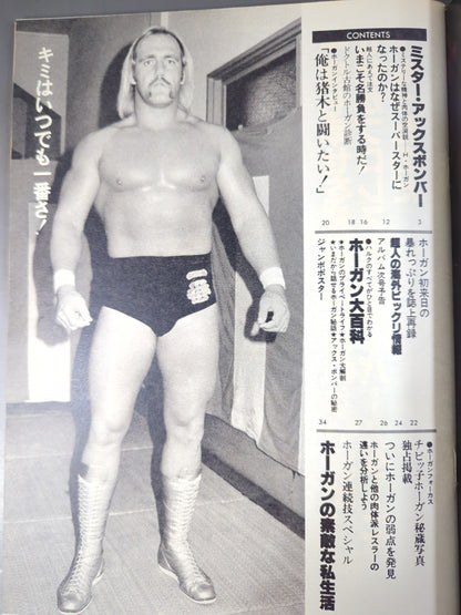 Pro Wrestling  Album 40 Best Hulk Hogan 