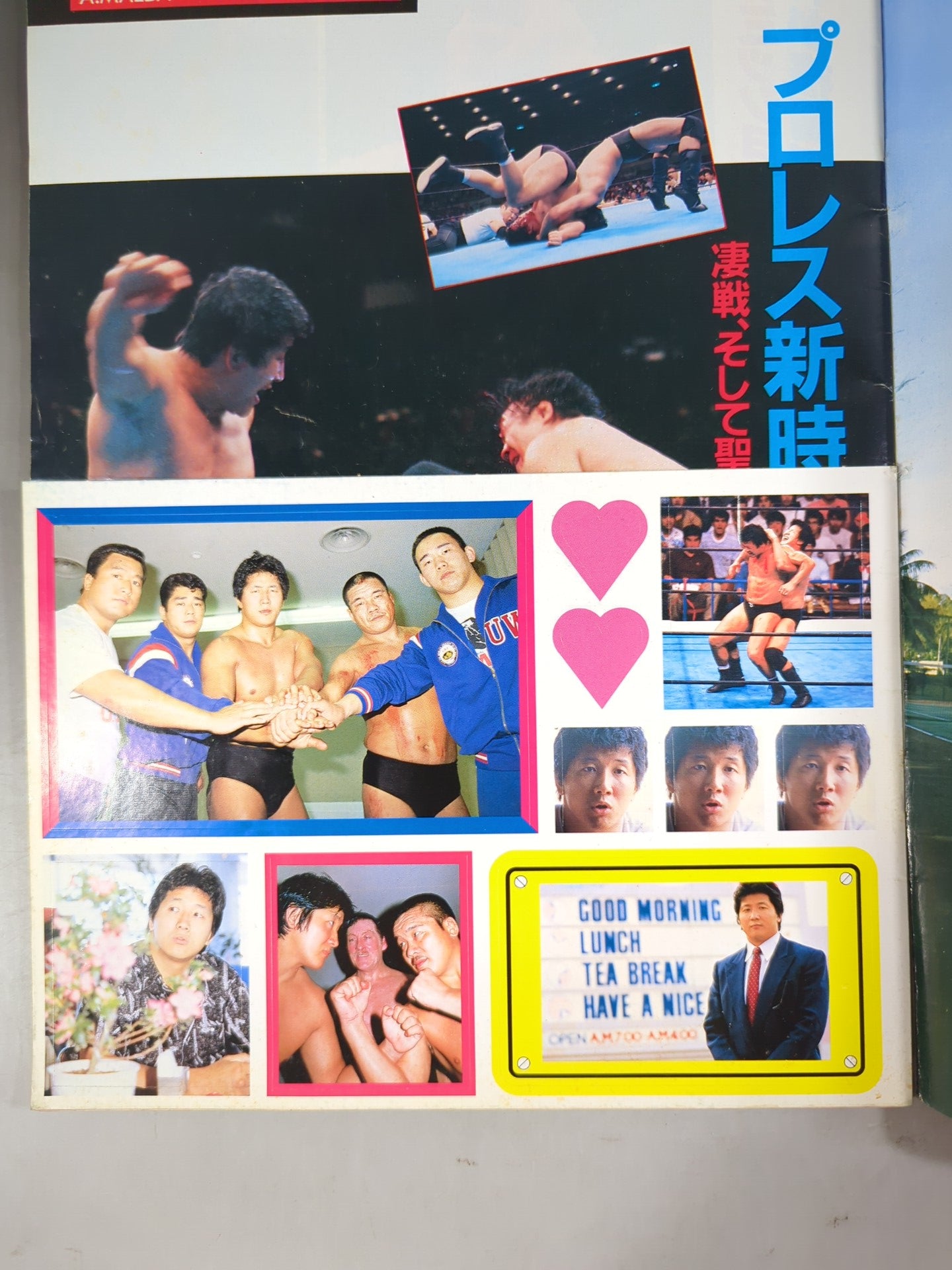 Pro Wrestling  Album 69 Akira Maeda The Legend of the New Fighting King