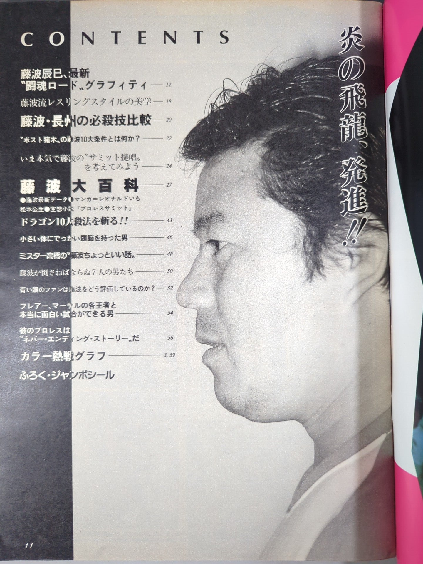 Pro Wrestling Album 56: Now, for some reason Tatsumi Fujinami 