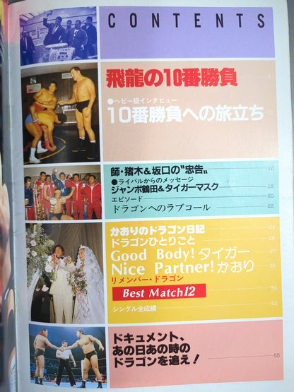 プロレスアルバム23 藤波辰巳 改訂版