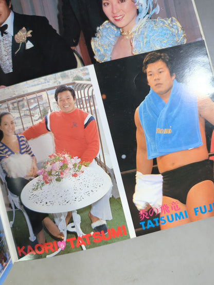 プロレスアルバム23 藤波辰巳 改訂版
