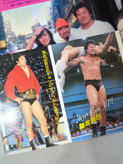 プロレスアルバム23 藤波辰巳 改訂版