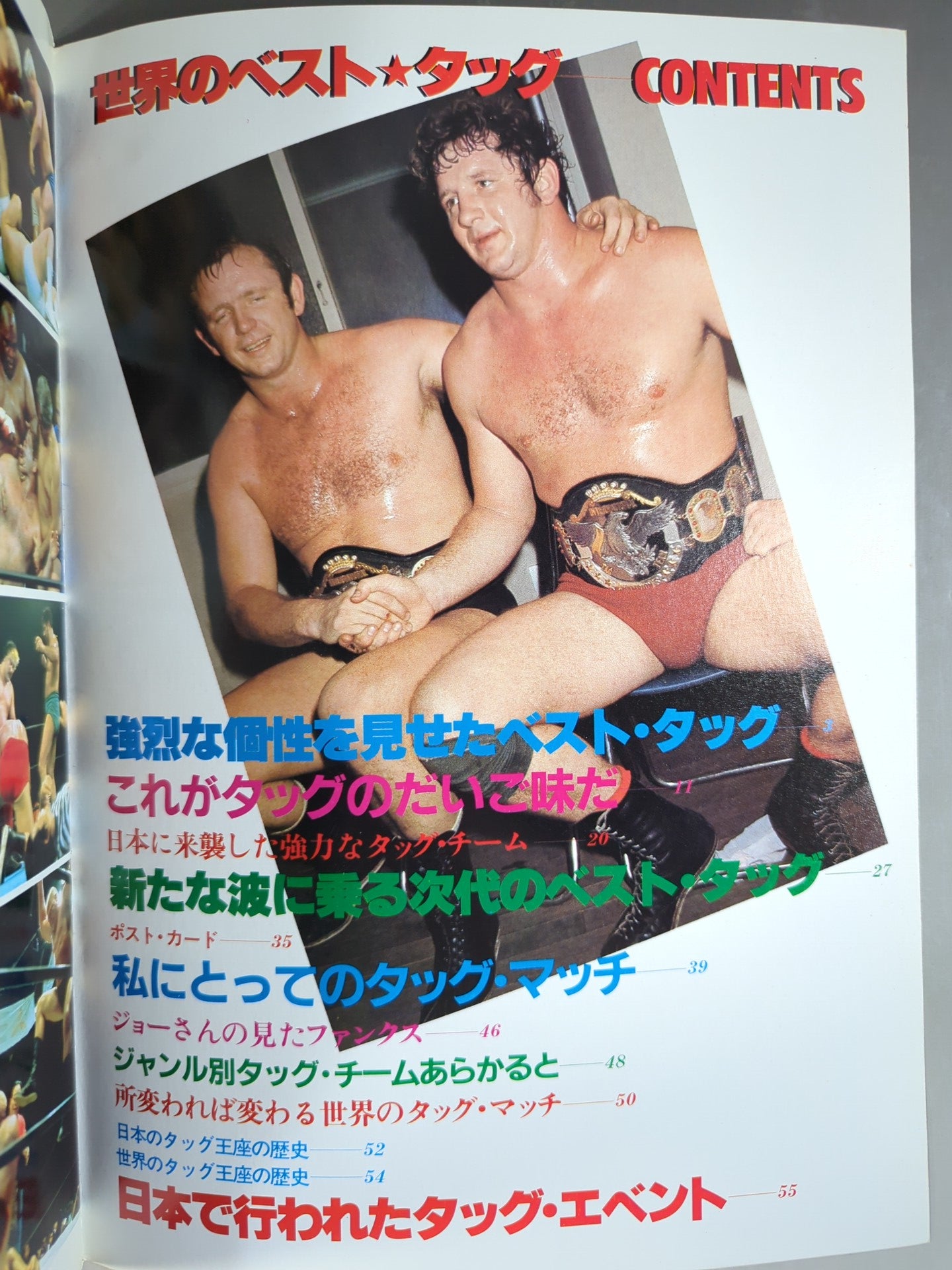 Pro Wrestling  Album 22 Best Tag Team in the World