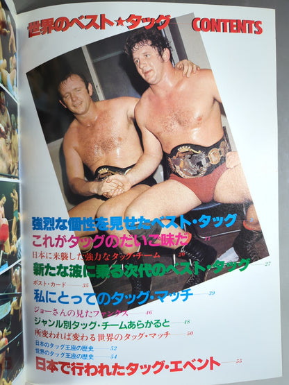 Pro Wrestling  Album 22 Best Tag Team in the World