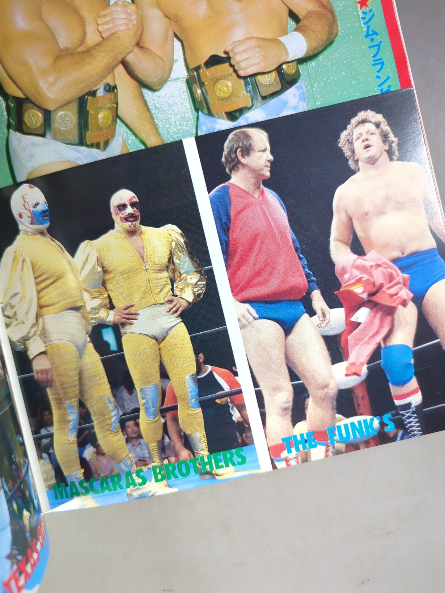 Pro Wrestling  Album 22 Best Tag Team in the World