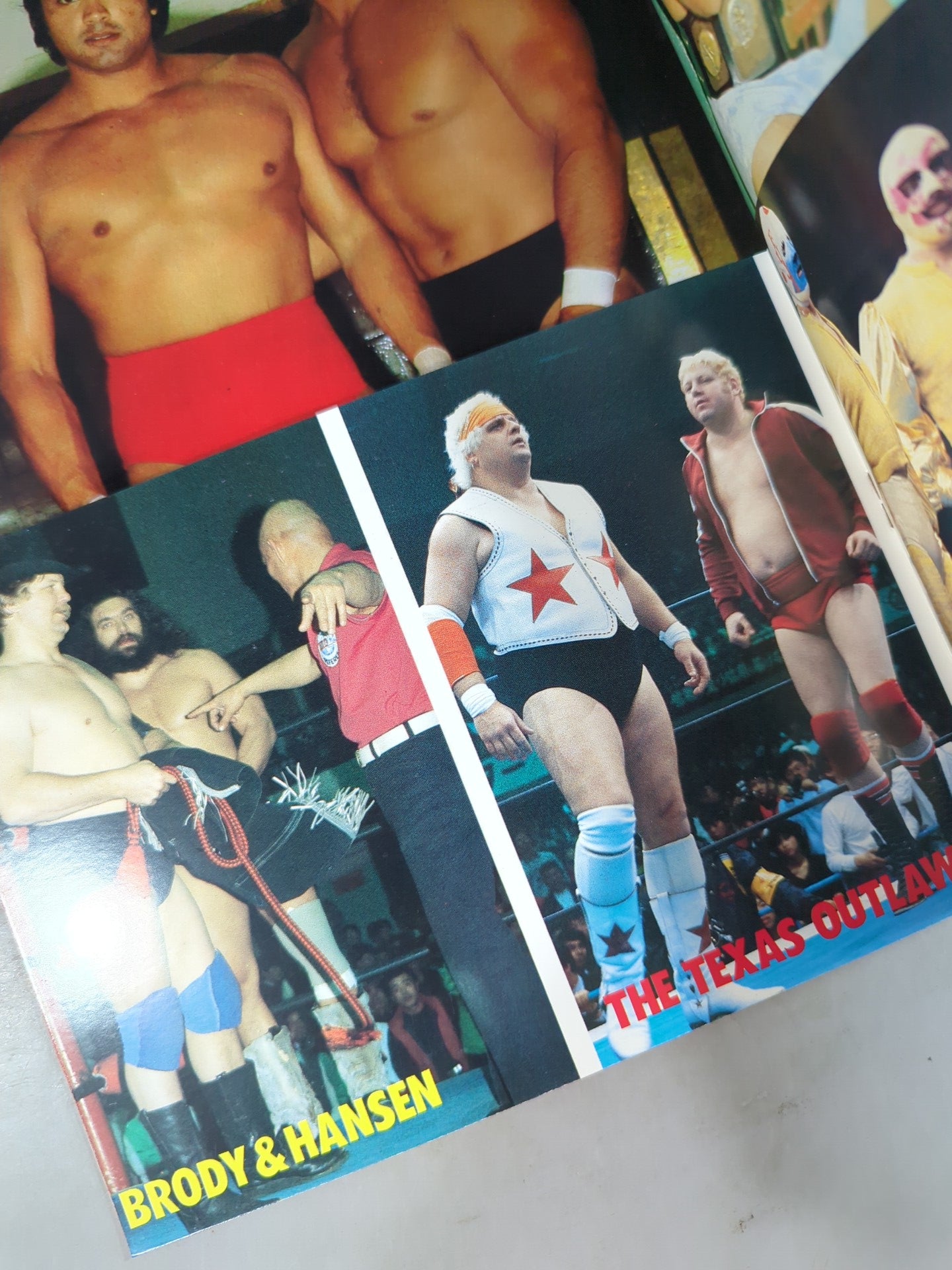 Pro Wrestling  Album 22 Best Tag Team in the World
