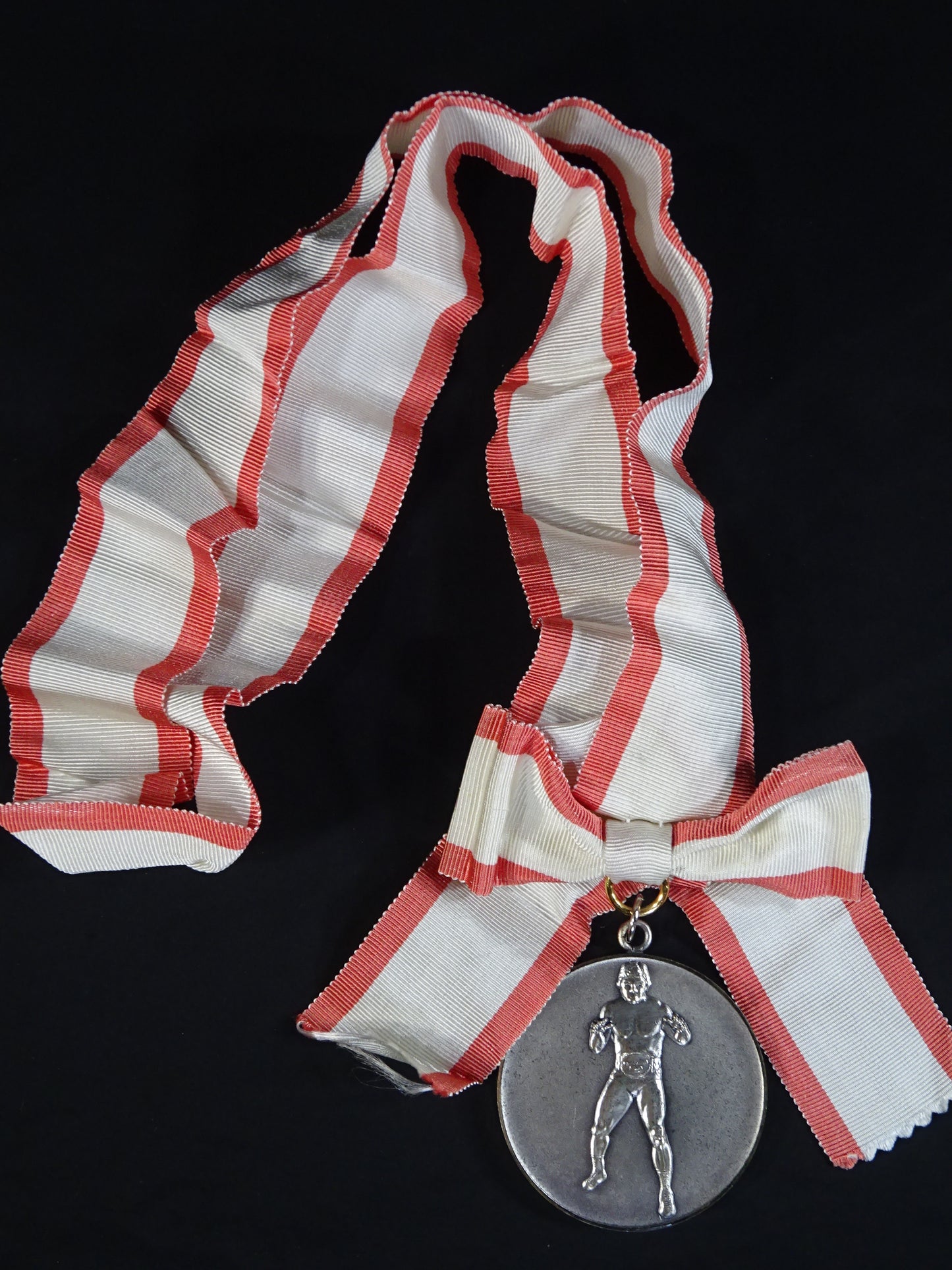 Tatsumi Fujinami  World Title Victory Commemorative Medal