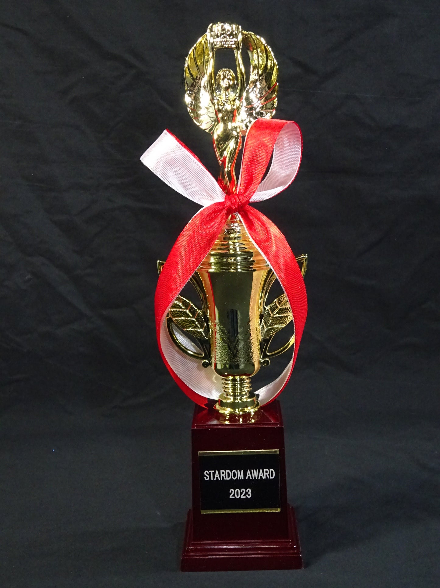 ★STARDOM AWARD 2023★ Replica Commemorative Trophy