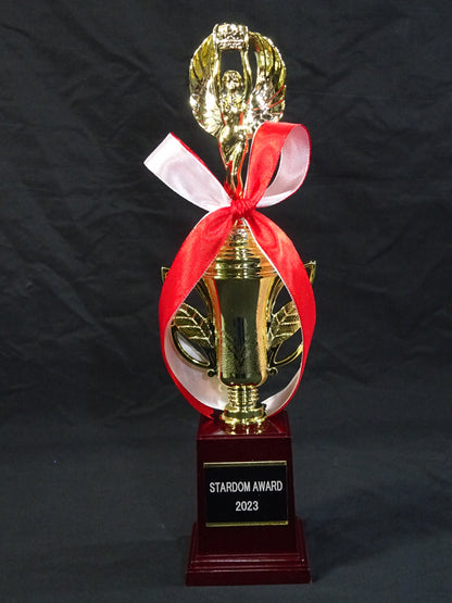 ★STARDOM AWARD 2023★ Replica Commemorative Trophy