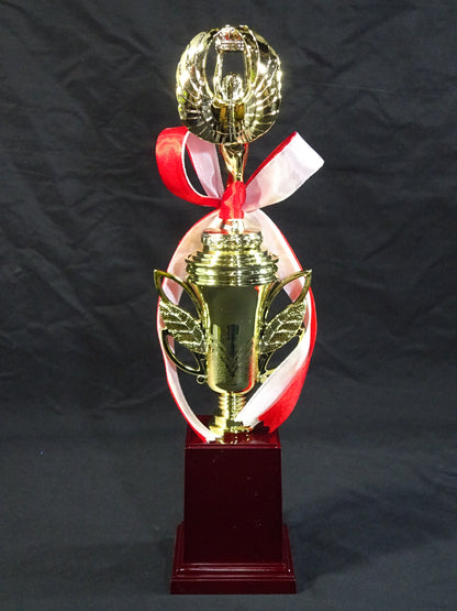 ★STARDOM AWARD 2023★ Replica Commemorative Trophy