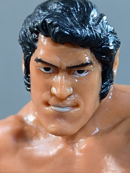 Antonio Inoki  (NWF belt)