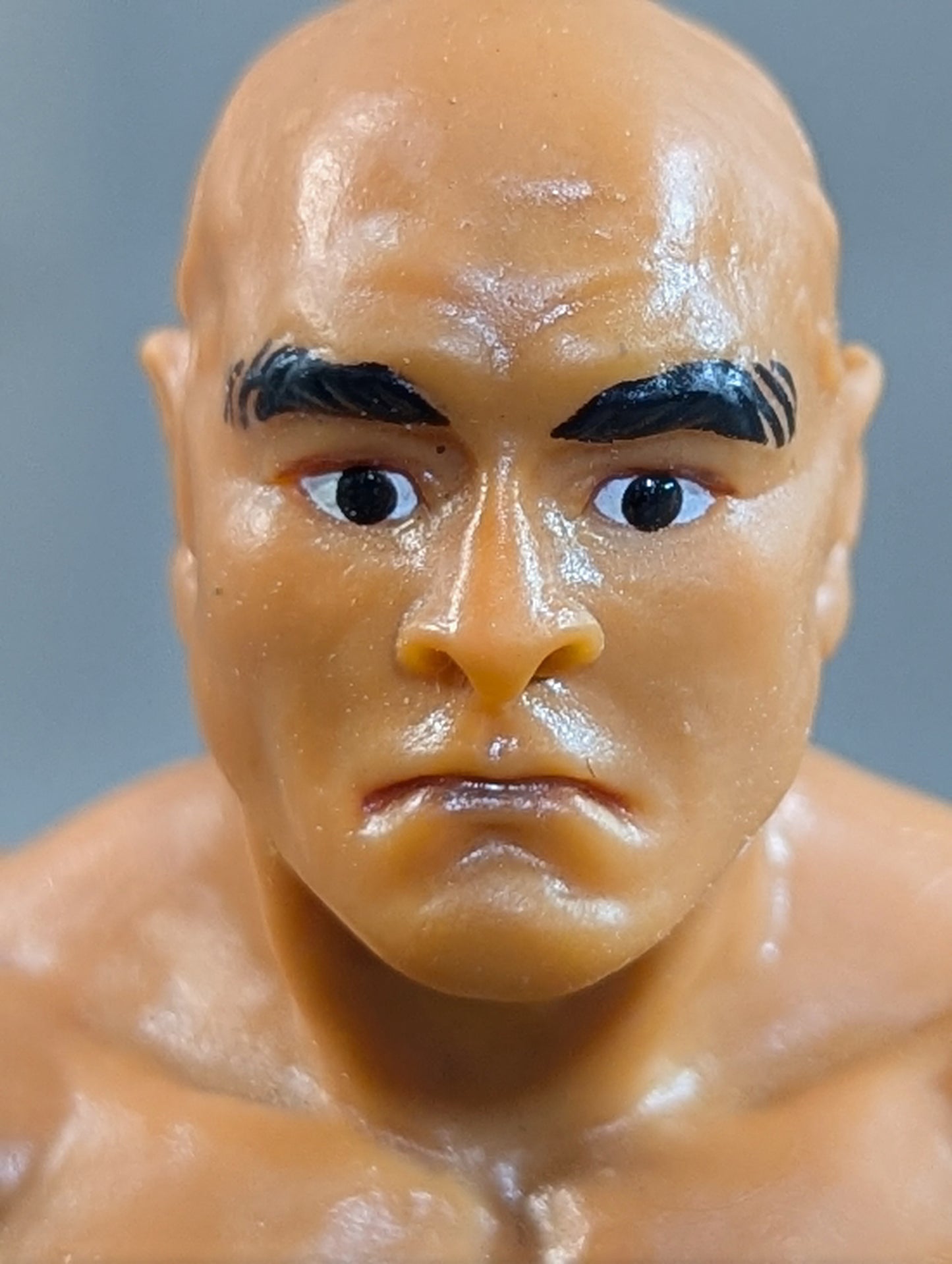Rickson Gracie  (Bushido, White Knee Pad)
