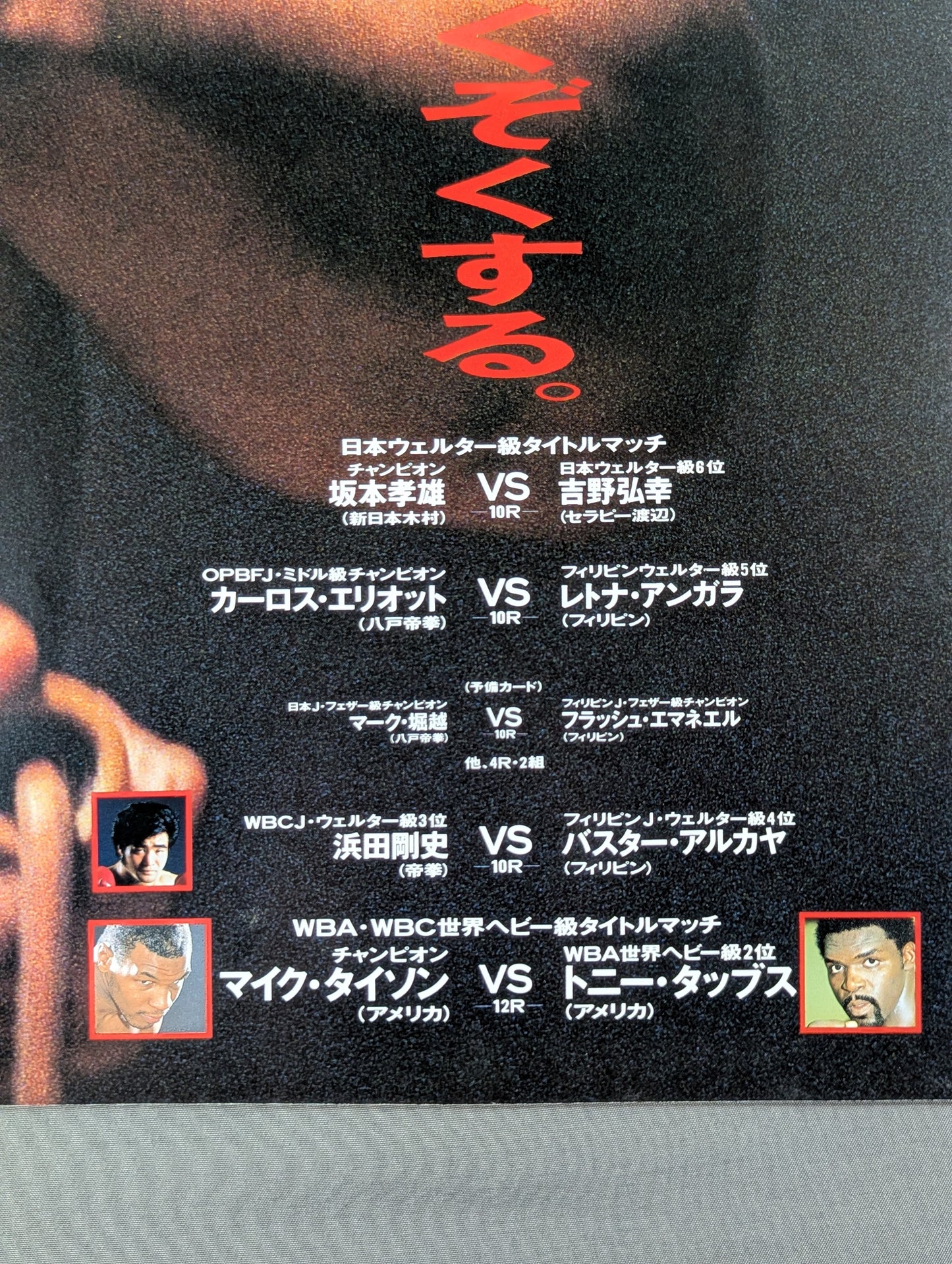 ★統一世界ヘビー級タイトルマッチ★ タイソンvsタッブス