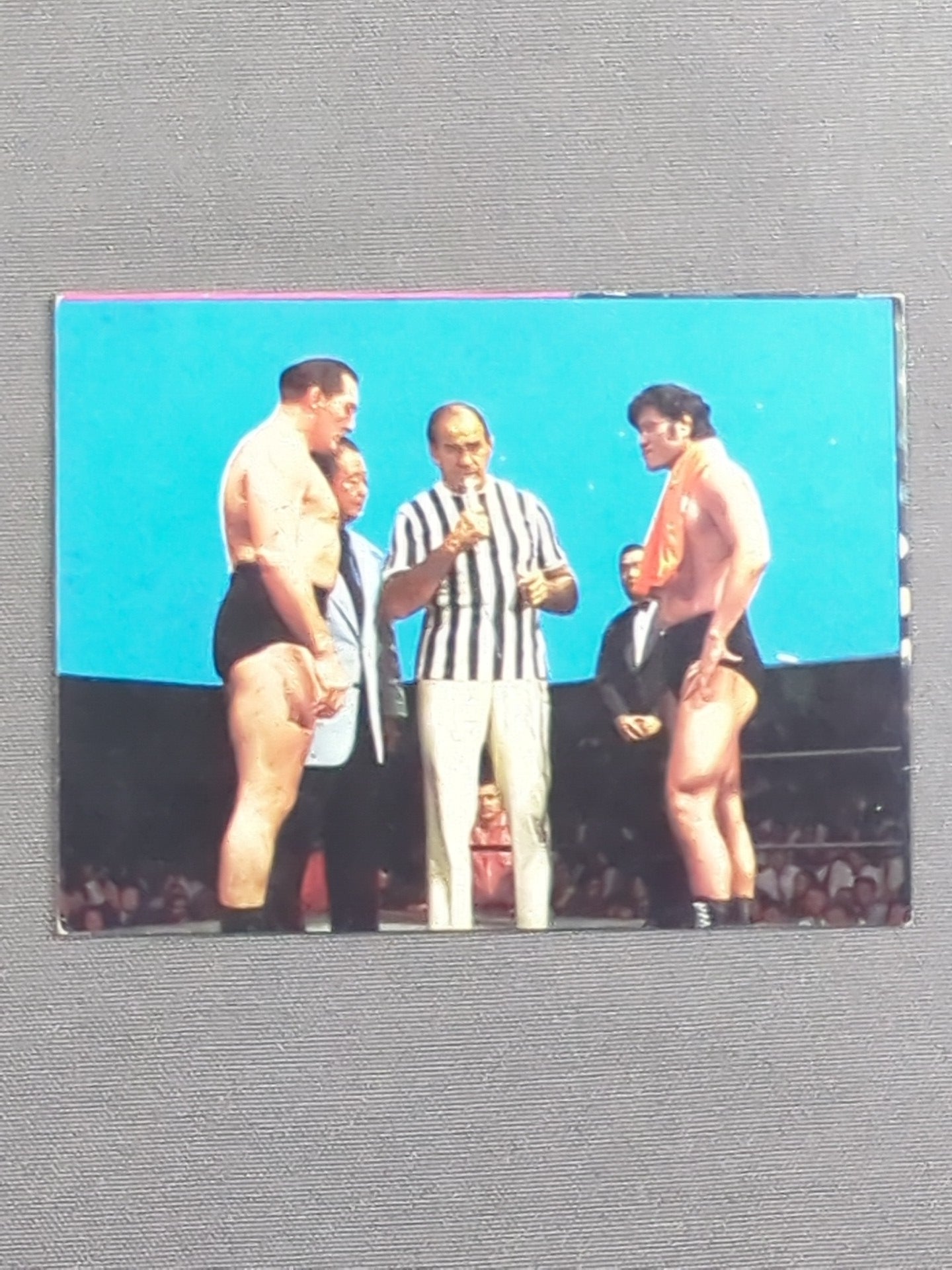 Antonio Inoki vs Karl Gotch Yamakatsu (Yamakatsu) Pro Wrestling Card (14)