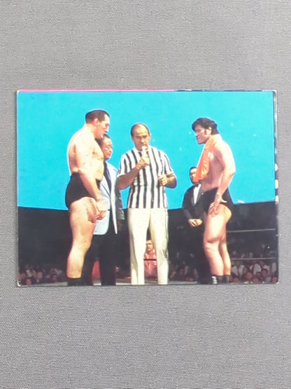 Antonio Inoki vs Karl Gotch Yamakatsu (Yamakatsu) Pro Wrestling Card (14)