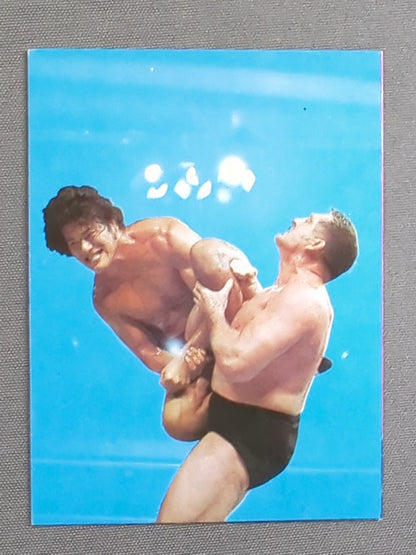 Antonio Inoki vs Karl Gotch Yamakatsu (Yamakatsu) Pro Wrestling Cards (16)