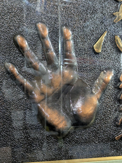 Chiyonofuji Retirement Commemorative Copper Plate Handprint Frame