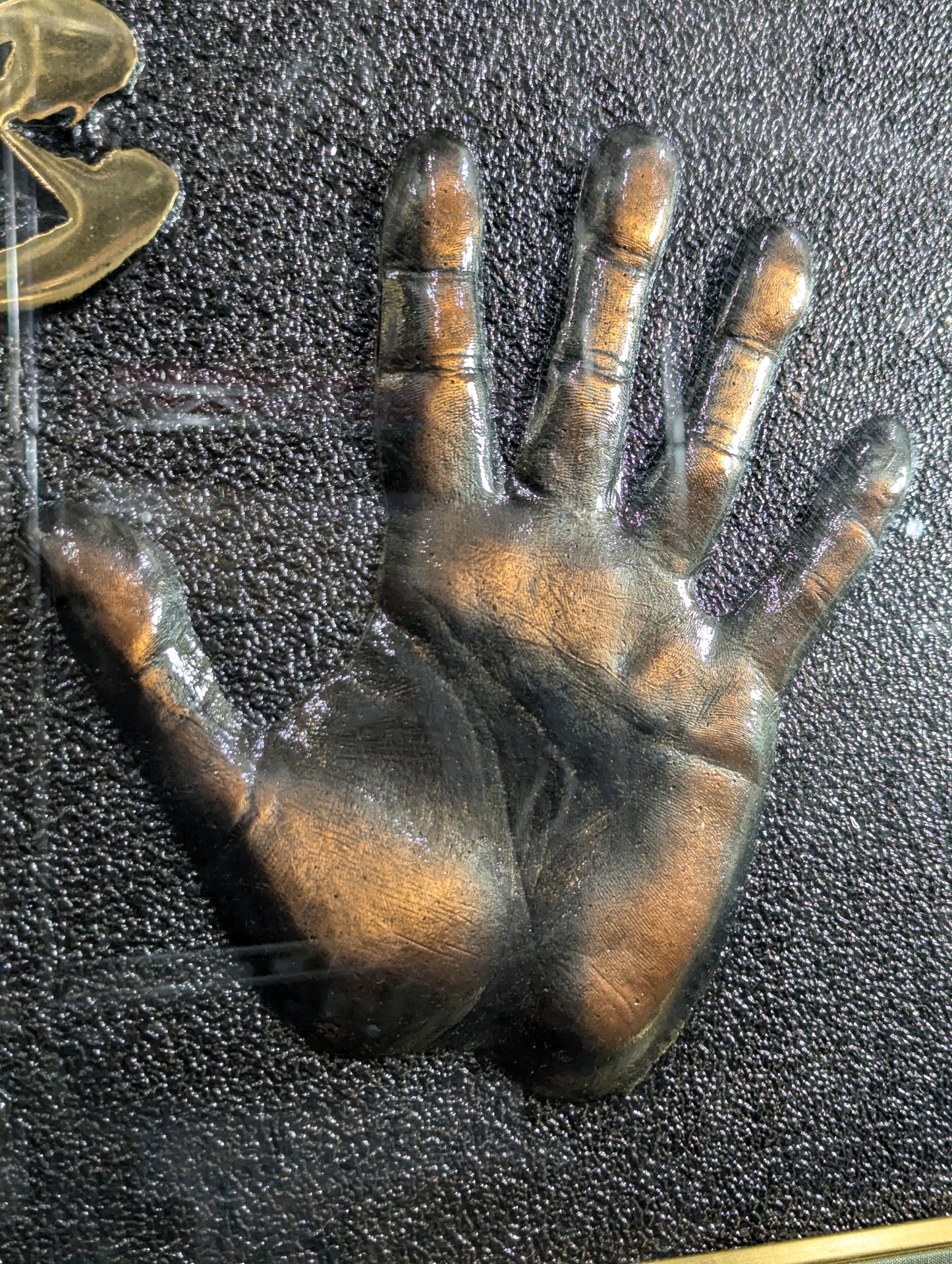 Chiyonofuji Retirement Commemorative Copper Plate Handprint Frame