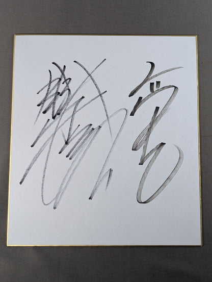 Minoru Suzuki & Yoshihiro Takayama