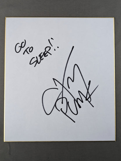 CM Punk