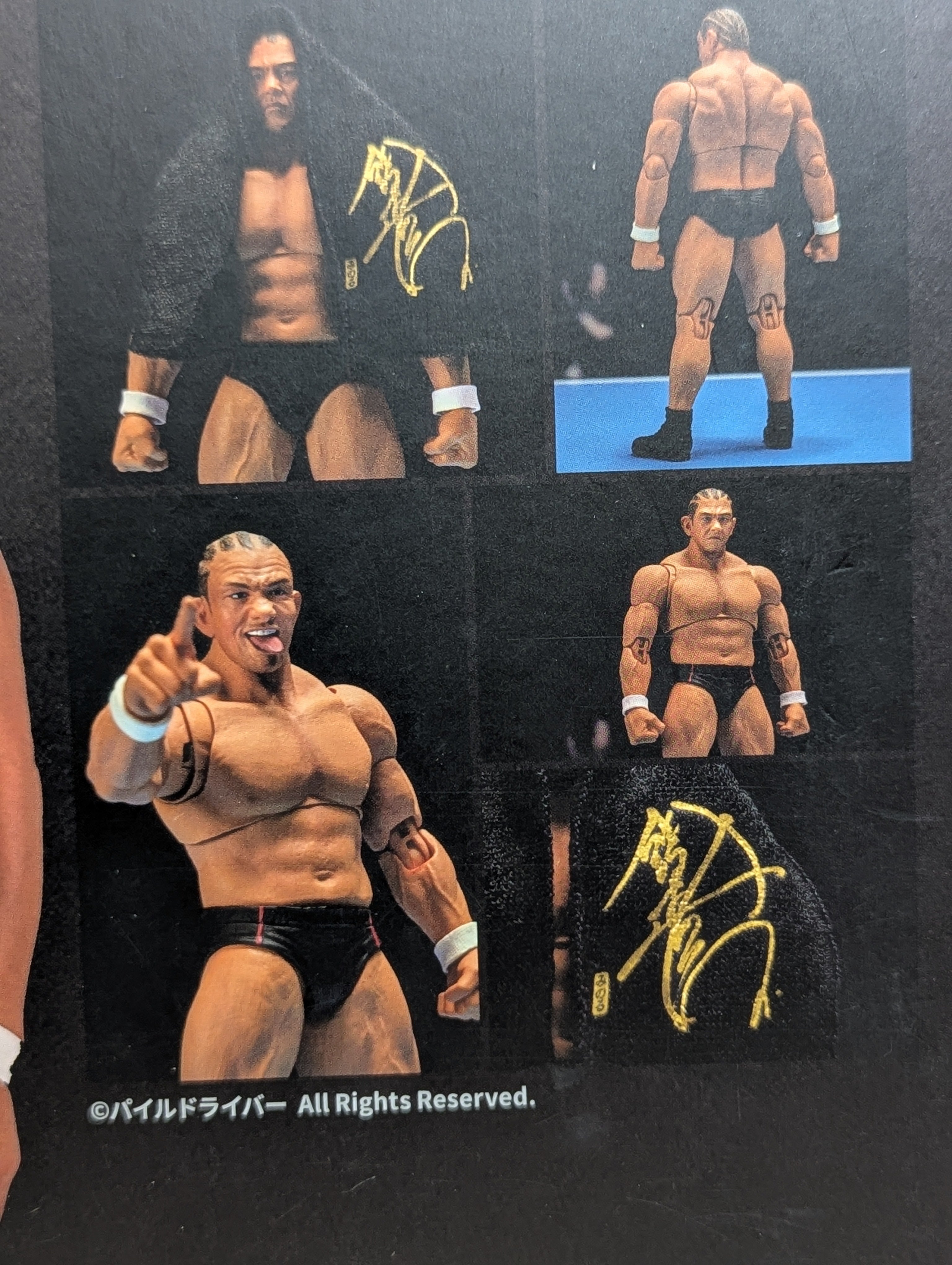 直筆サイン入り】鈴木みのる ☆STORM COLLECTIBLES☆ – 闘道館