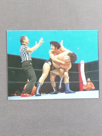 アントニオ猪木 山勝(ヤマカツ)プロレスカード(3)