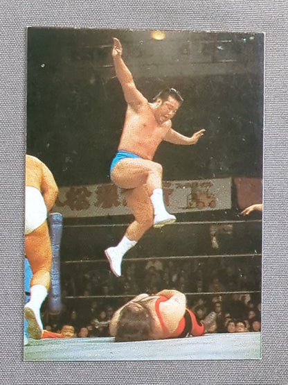 Kantaro Hoshino Yamakatsu (Yamakatsu) Pro Wrestling Card (6)