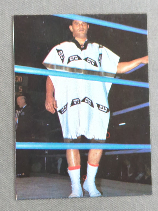 Victor Rivera Yamakatsu Pro Wrestling Card (18)